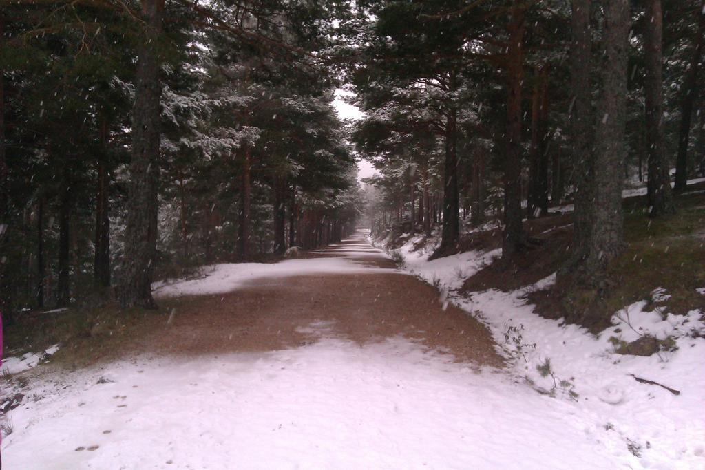 Hotel Rural Las Postas Navacerrada Eksteriør bilde